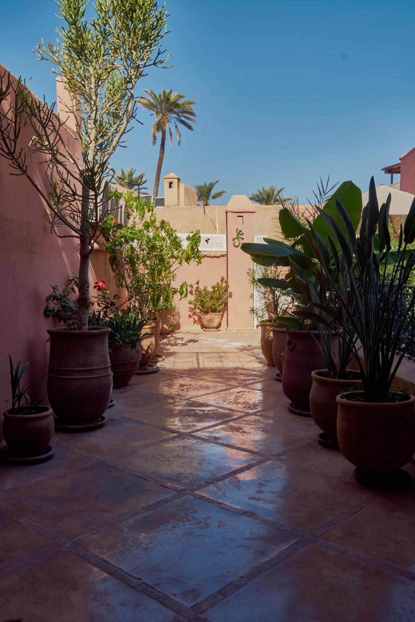 Riad Chameleon Marrakesh Extérieur photo